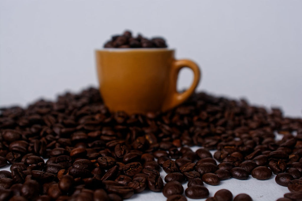Why Choose Medium Roast Coffee Beans?