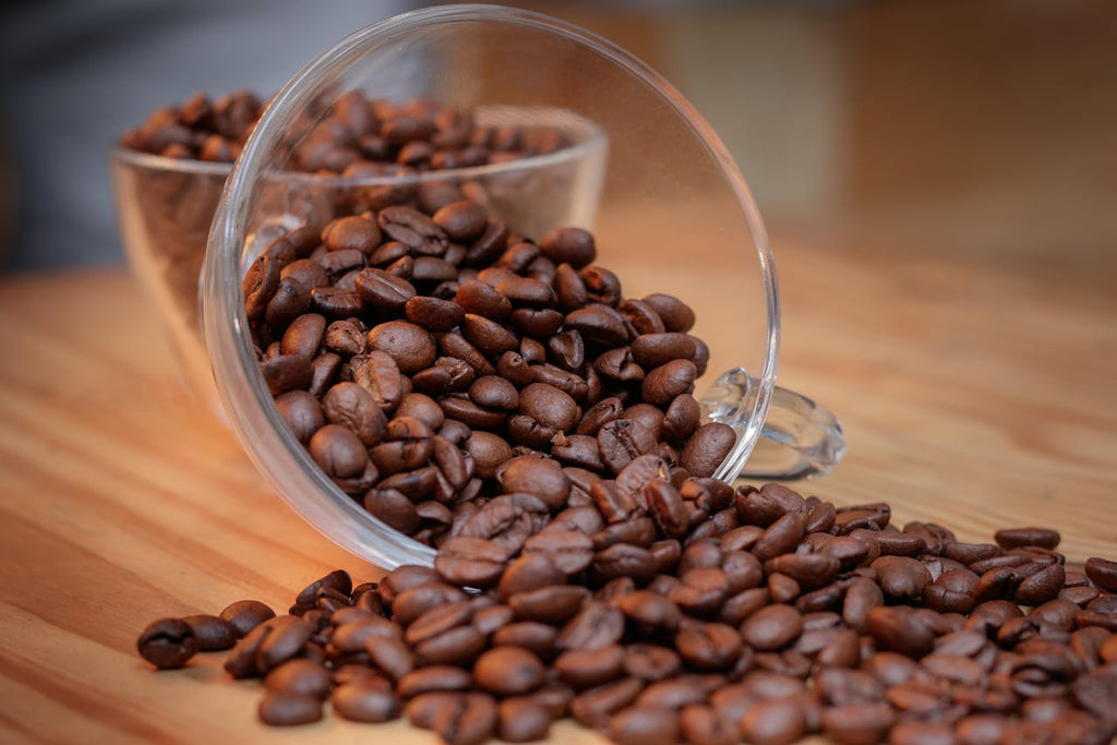 Finding The Best Coffee Distributors In New York