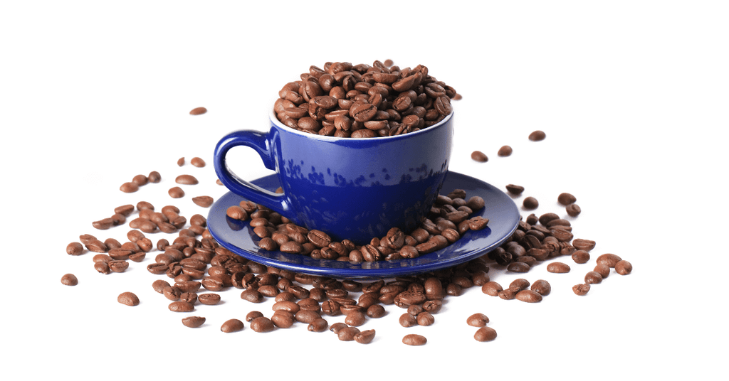 Discovering the Best Online Shop to Buy Premium Coffee Beans