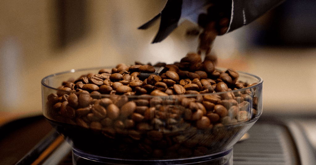 Best American Coffee Roasters: A Guide to Exceptional Beans
